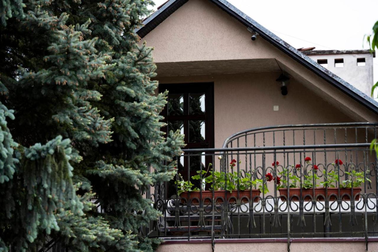 Eduard Hotel Uzhhorod Bagian luar foto