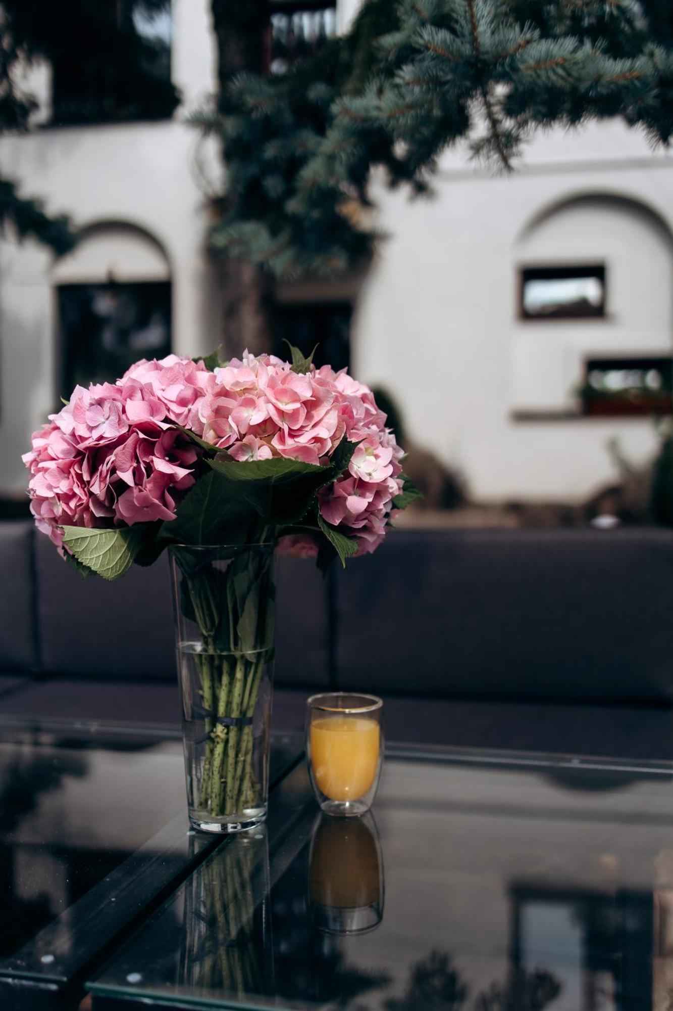 Eduard Hotel Uzhhorod Bagian luar foto
